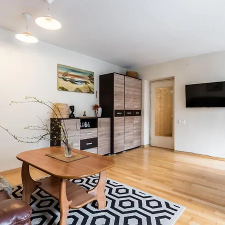 Cozy Traku13 Apartment Kaunas