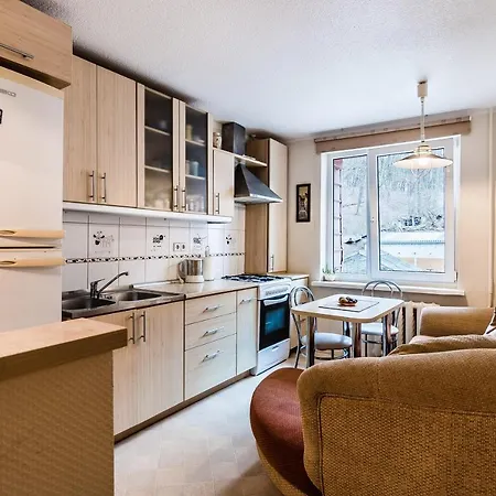Apartment Cozy Traku13 *