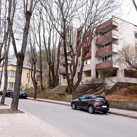 Cozy Traku13 Kaunas